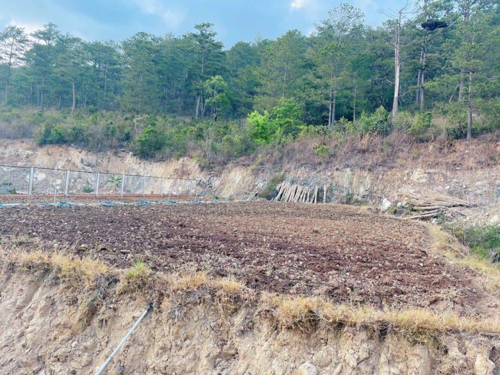 Bán đất ở Bồng Lai
