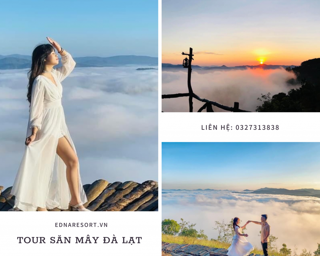 Tour săn mây ở Đà Lạt