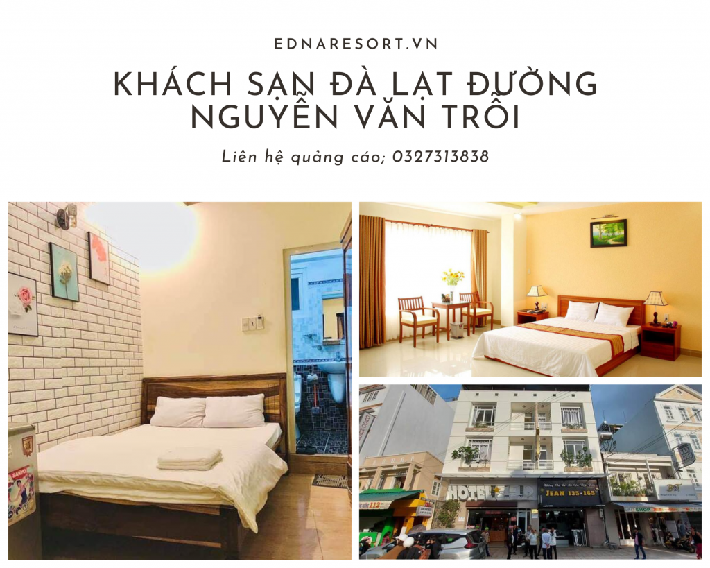 Khách sạn Đà Lạt đường Nguyễn Văn Trỗi<!--TOC-->