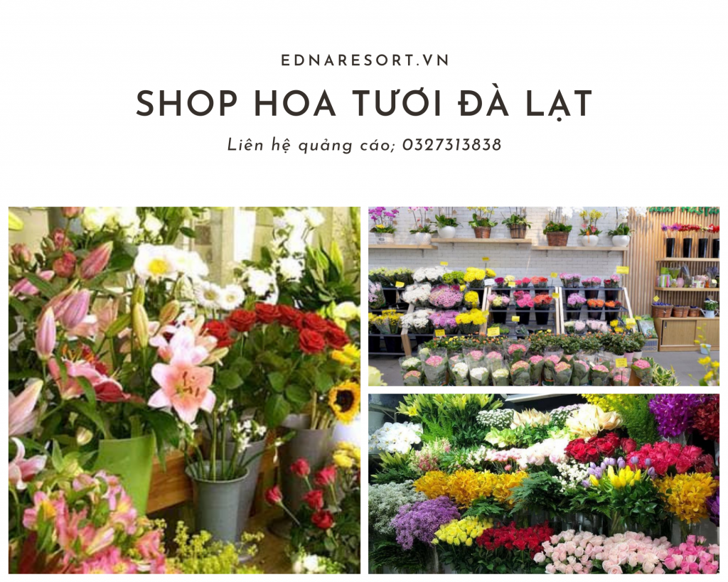 Shop hoa tươi Đà Lạt