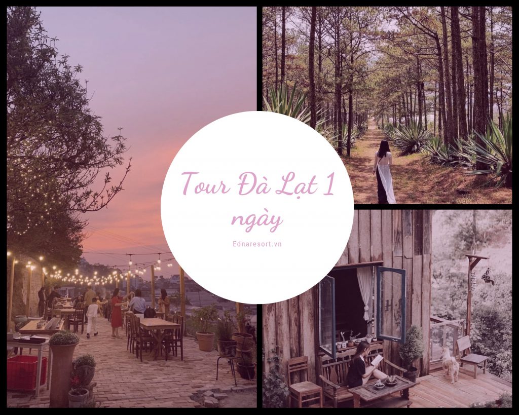 Khách đặt tour tại Hoa Dalat Travel