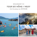 Tour Đà Nẵng 1 ngày