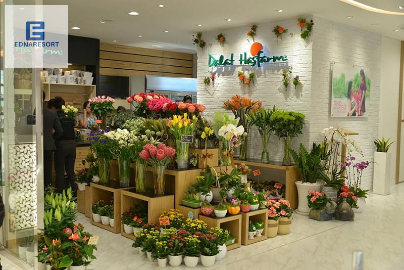 DaLat HasFarm - Shop hoa tươi uy tín nhất